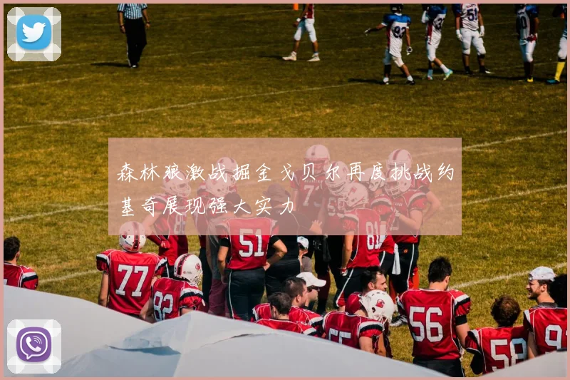 森林狼激战掘金戈贝尔再度挑战约基奇展现强大实力